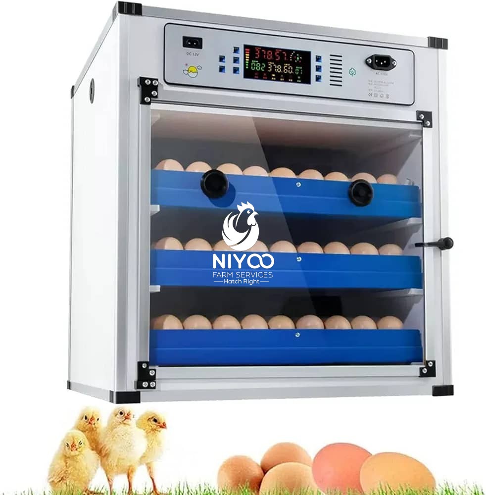 352 Egg Incubator