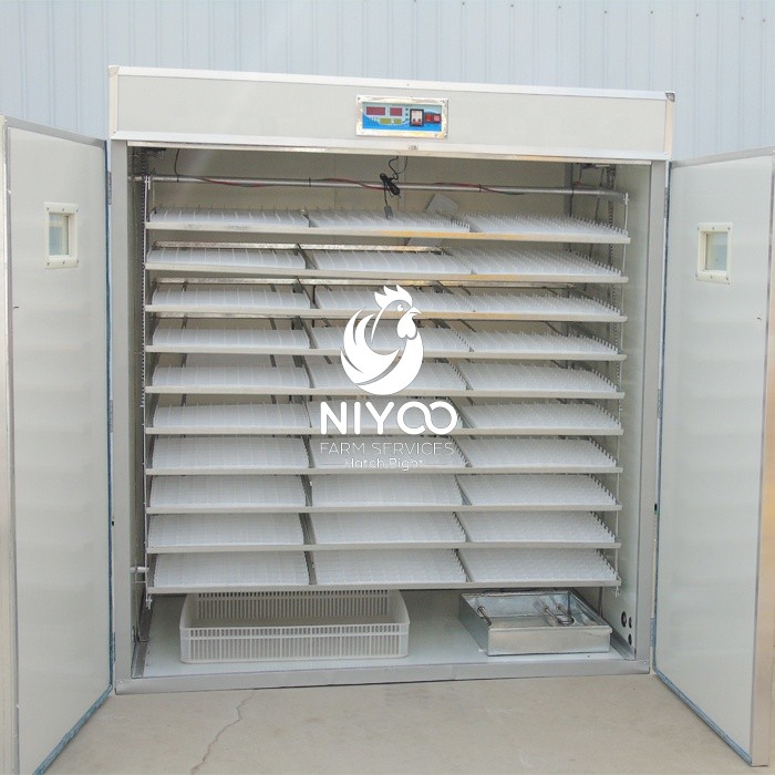 5280 Commercial eggs incubator thumbnail