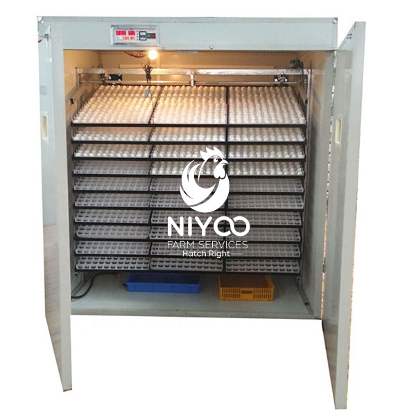 5280 Commercial eggs incubator thumbnail