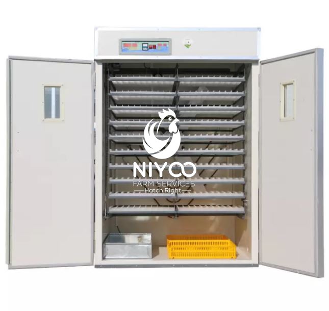 5280 Commercial eggs incubator thumbnail