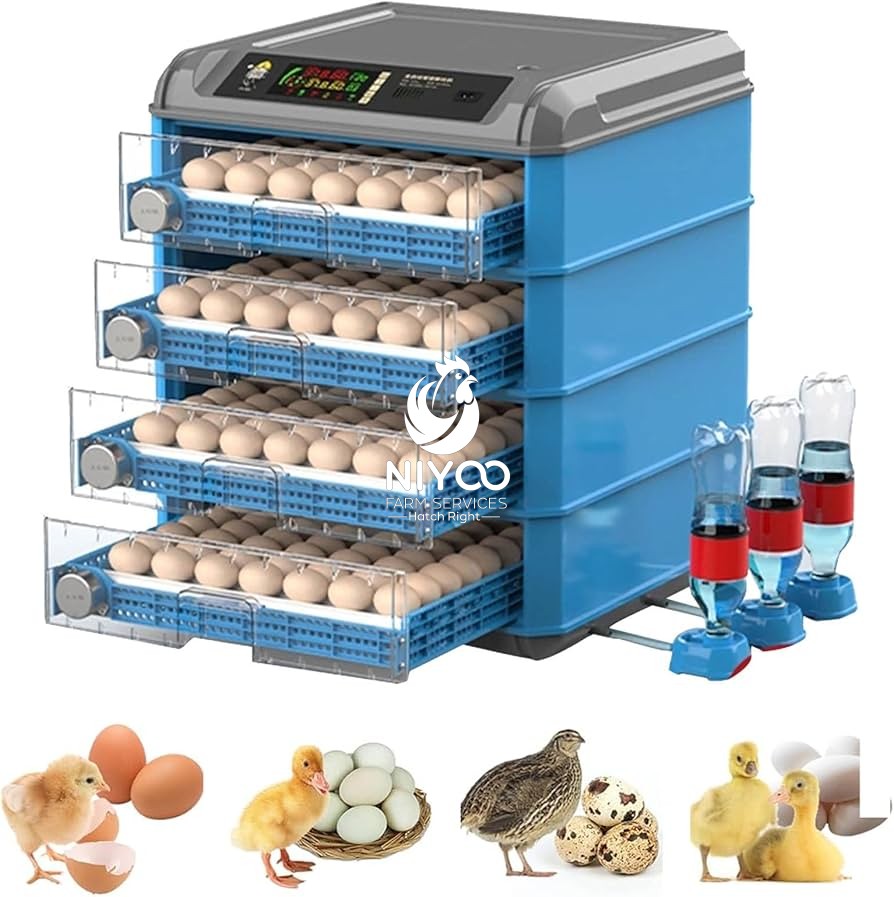 256 Eggs incubator