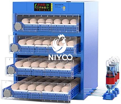 320 Eggs incubator