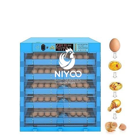 320 Eggs incubator thumbnail