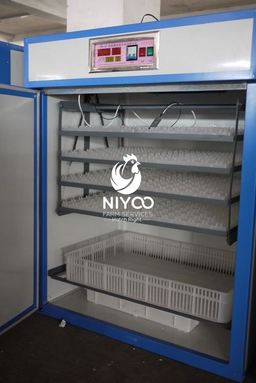 704 commercial eggs incubators thumbnail