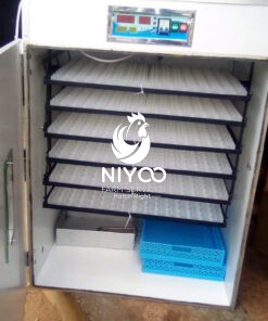 1056 Commercial eggs incubator