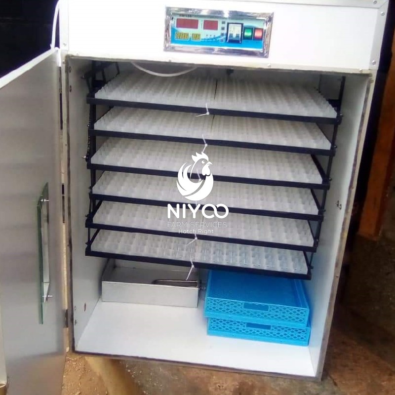 1056 Commercial eggs incubator thumbnail